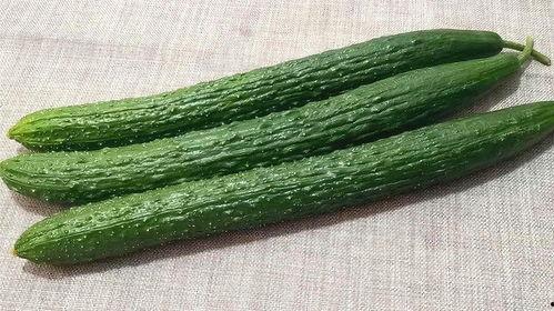 东营仙河吃瓜,清凉一夏,共享瓜香时光 第3张 东营仙河吃瓜,清凉一夏,共享瓜香时光 第3张